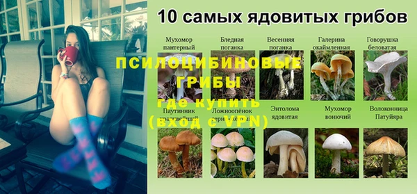 спиды Михайловка