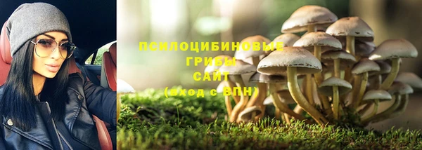 спайс Надым