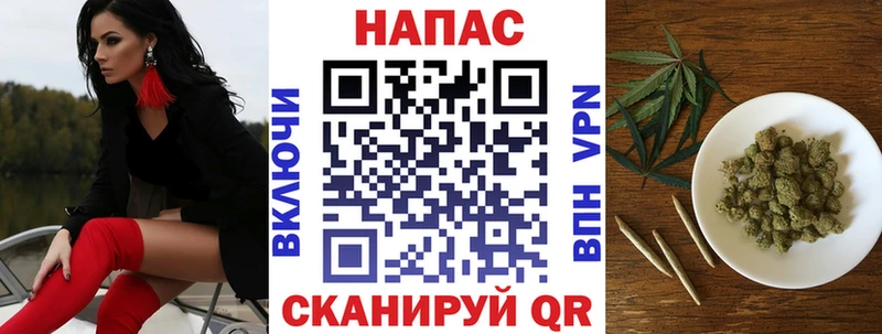 Шишки марихуана марихуана  Олёкминск 
